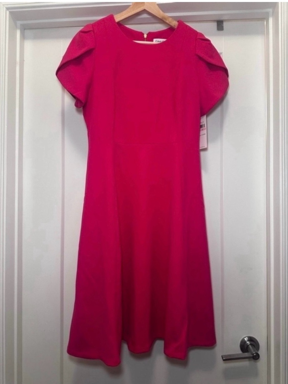 🩷 NWT! Pink CALVIN KLEIN Tulip Sleeve Flare Dress - Size 10